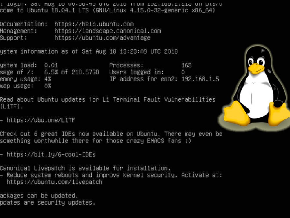 Instalando Interfaz Gráfica en Ubuntu Server 18.04.1