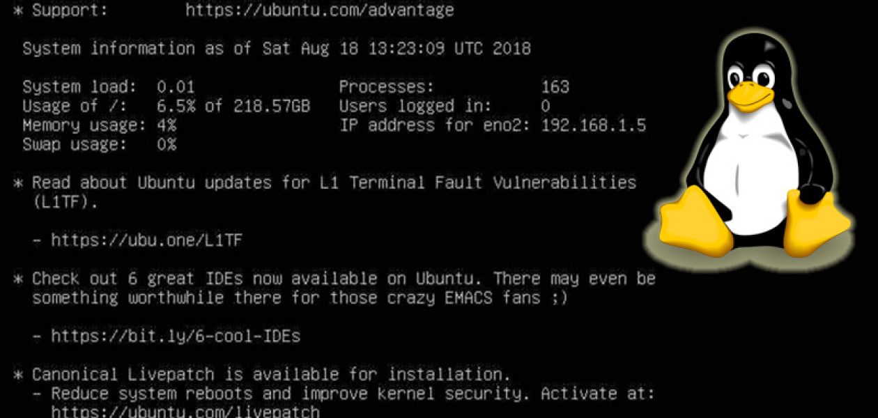 Instalando Interfaz Gráfica en Ubuntu Server 18.04.1