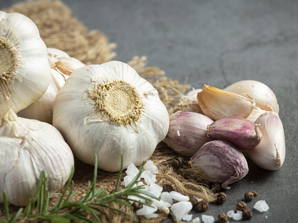 Propiedades Medicinales del Ajo